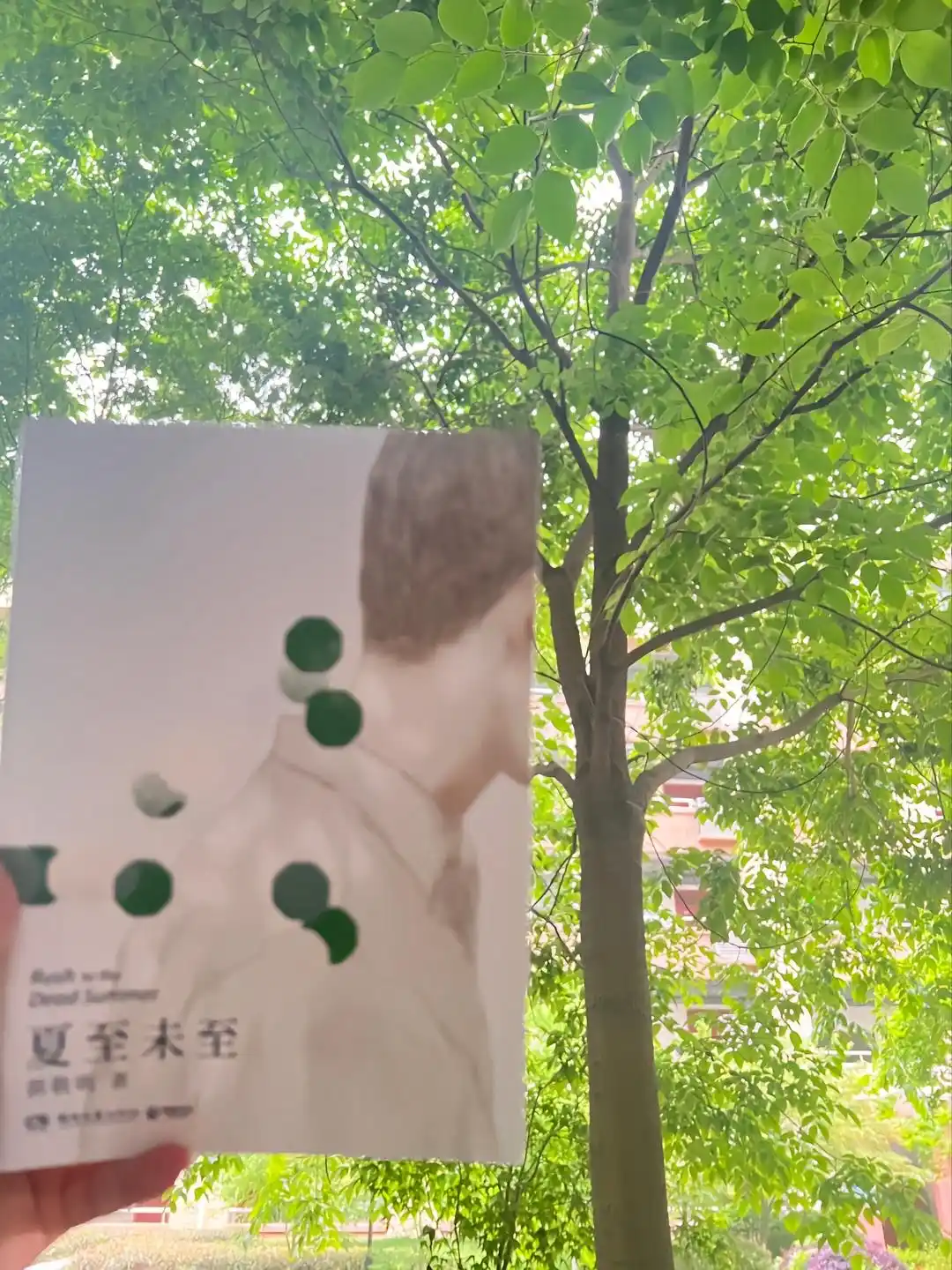 夏至末至 我最喜欢听的追光者~