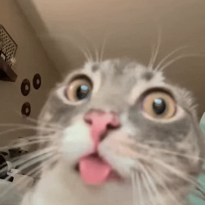 a5831af7eb620a4029c0f8e0a6796a0c.gif