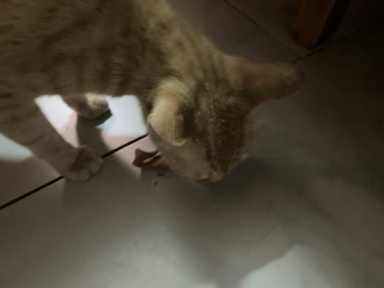 https://i.mij.rip/2026/06/07/4e281eadeba3d91e98551df536c06f80.jpeg